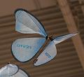 T-20150412-133729_IMG_1699-7aa
