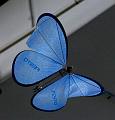 T-20150412-133742_IMG_1717-7aa