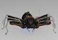 T-20150412-133753_IMG_1722-7a