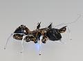 T-20150412-133802_IMG_1727-7a