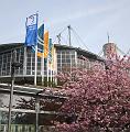 T-20150412-161546_IMG_1752-6aa