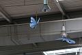 T-20150412-133712_IMG_1671-7