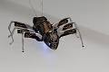 T-20150412-134004_IMG_1754-7
