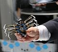 T-20150412-134138_IMG_1767-7a