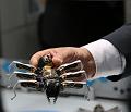 T-20150412-134139_IMG_1771-7a