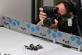 T-20150412-134403_IMG_1872-7