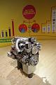 T-20150412-145540_IMG_1664-6
