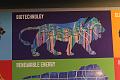 T-20150412-150117_IMG_2070-7