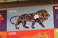 T-20150412-150125_IMG_2080-7