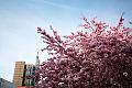 T-20150412-162054_IMG_1759-6a