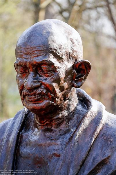20150412_0805.jpg - Ulrich Stamm / Fotopresse-Hannover.de