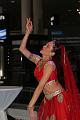 T-20150414-195156_IMG_7462-7