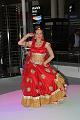 T-20150414-195248_IMG_3709-6