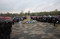 T-20150426-133702_IMG_5487-6