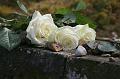 T-20150426-141341_IMG_4462-7a