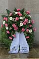T-20150426-142215_IMG_4490-7