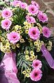 T-20150426-142314_IMG_4491-7