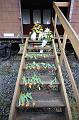 T-20150426-161032_IMG_5928-6