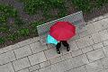 T-20150505-131850_IMG_6690-7