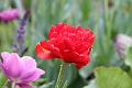 T-20150505-133956_IMG_6768-7
