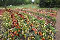 T-20150505-142348_IMG_6720-6