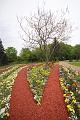 T-20150505-142524_IMG_6729-6