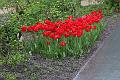 T-20150505-144028_IMG_6950-7