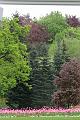 T-20150505-150931_IMG_7121-7
