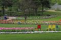 T-20150505-151147_IMG_7127-7