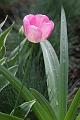 T-20150505-153708_IMG_7212-7