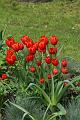 T-20150505-153733_IMG_7214-7