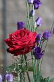 T-20150505-162237_IMG_7280-7