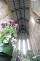 T-20150505-162334_IMG_6924-6