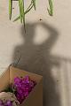 T-20150505-163636_IMG_7373-7