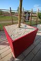 T-20150505-174356_IMG_7084-6