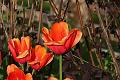 T-20150505-181148_IMG_7709-7