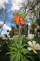 T-20150506-161652_IMG_7665-6