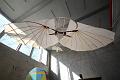 T-20150506-162924_IMG_7679-6