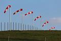 T-20150506-190541_IMG_8294-7