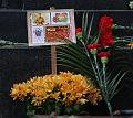T-20150508-163345_IMG_8583-7a