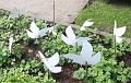 T-20150508-163812_IMG_8087-6a