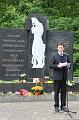 T-20150508-164134_IMG_8136-6