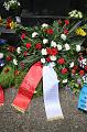 T-20150508-171958_IMG_8485-6