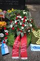 T-20150508-172002_IMG_8491-6