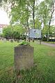 T-20150509-124728_IMG_8977-6