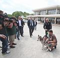 T-20150513-133912_IMG_9333-6a