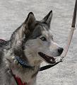 T-20150513-134010_IMG_9990-7a