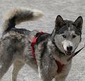 T-20150513-134011_IMG_9995-7a
