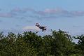 T-20150514-155940_IMG_0298-7