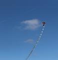 T-20150514-160119_IMG_0384-7a